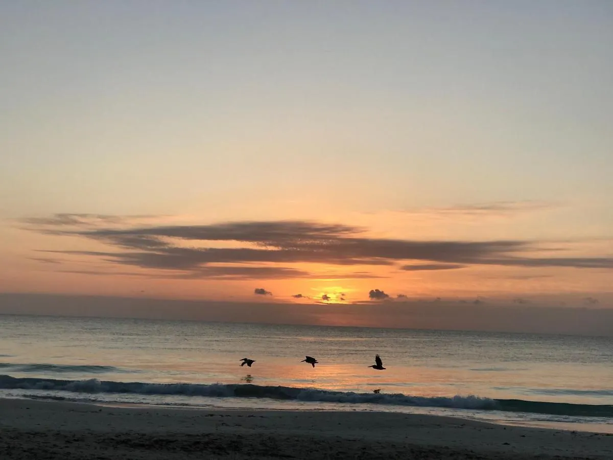 Camping Chavez Eco Beach Camping&Cabañas Tulum