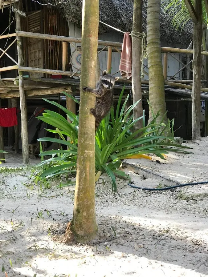 Chavez Eco Beach Camping&Cabañas Tulum Camping